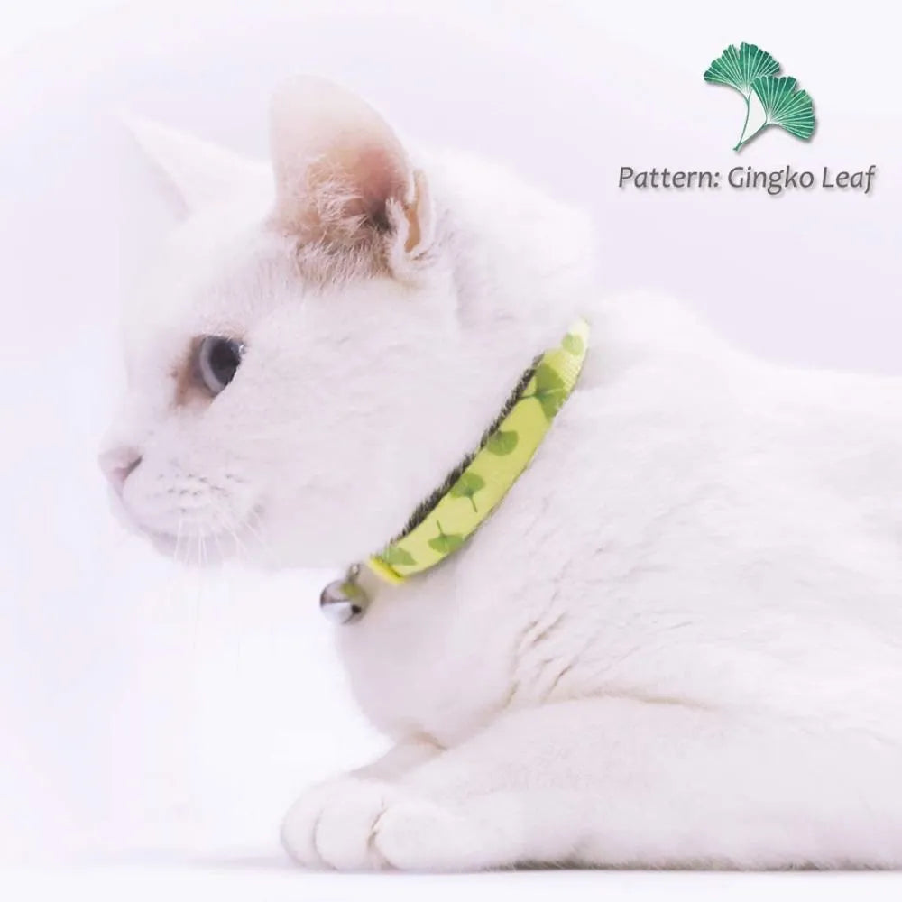 Custom Pet Collars with Bell