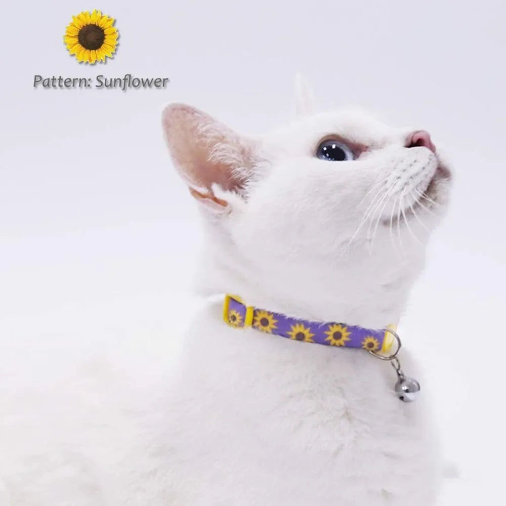 Custom Pet Collars with Bell