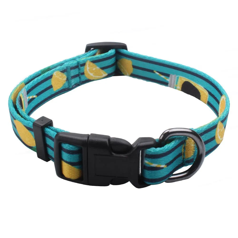 Custom Dye Sublimation Pet Collars