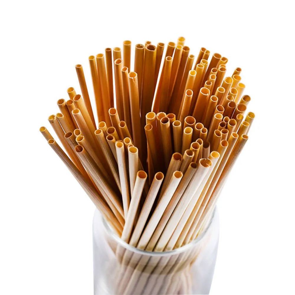 Eco-friendly Biodegradable Wheat straw