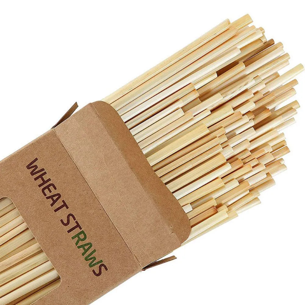 Eco-friendly Biodegradable Wheat straw