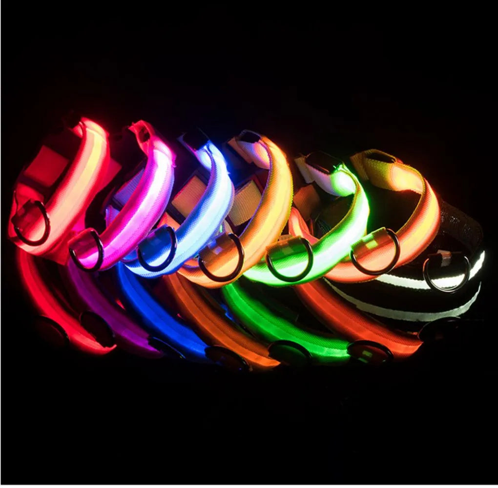 LED Pet Dog Collars