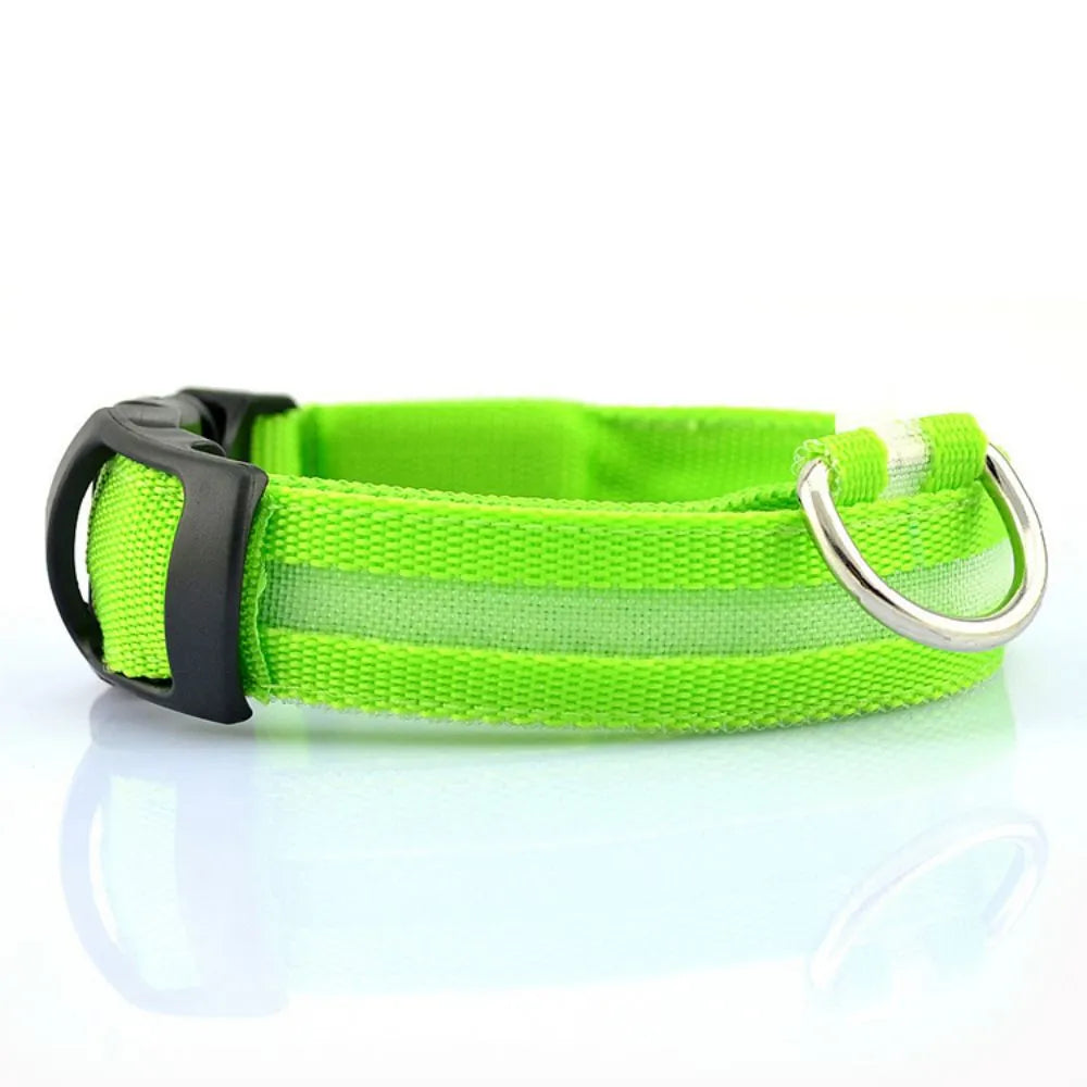 LED Pet Dog Collars