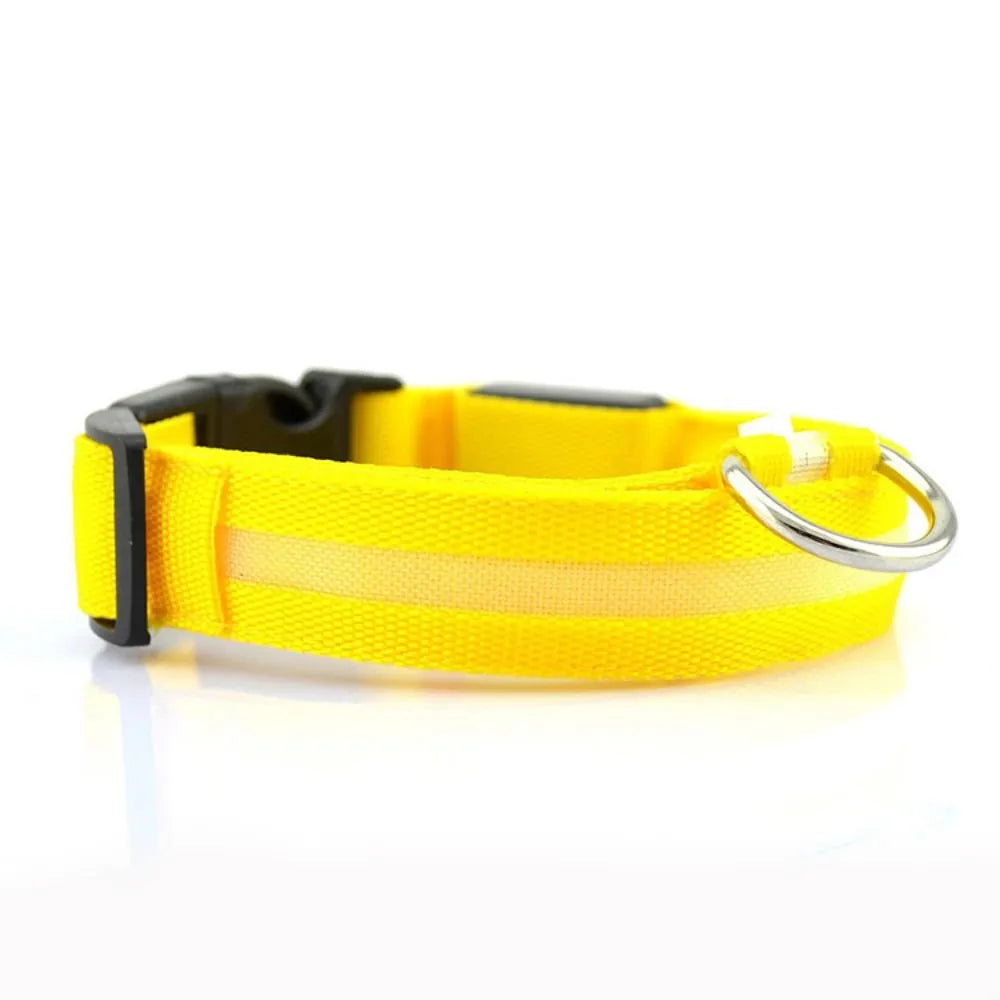 LED Pet Dog Collars