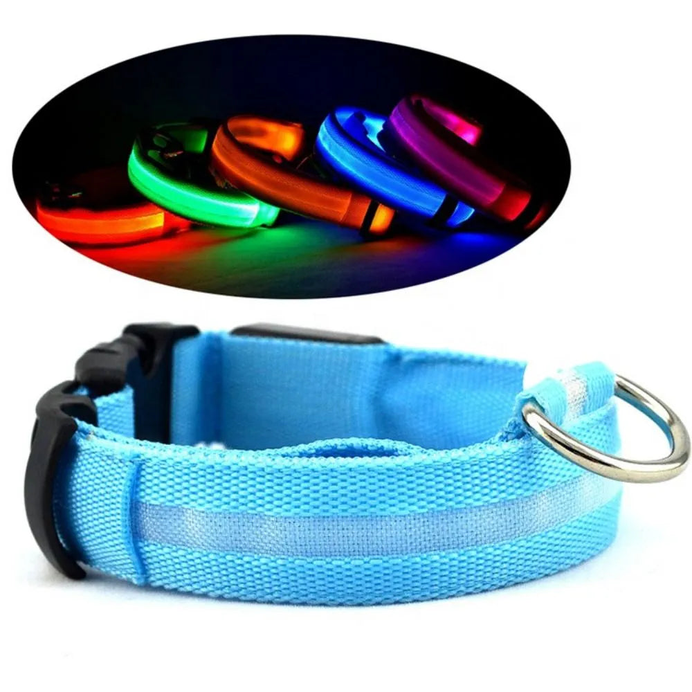 LED Pet Dog Collars
