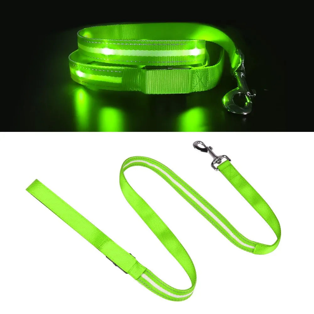 LED Nylon Pet Dog Leash