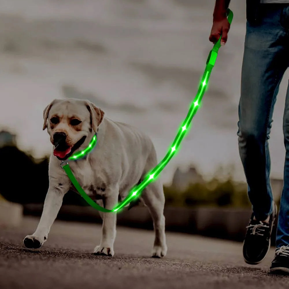 LED Nylon Pet Dog Leash