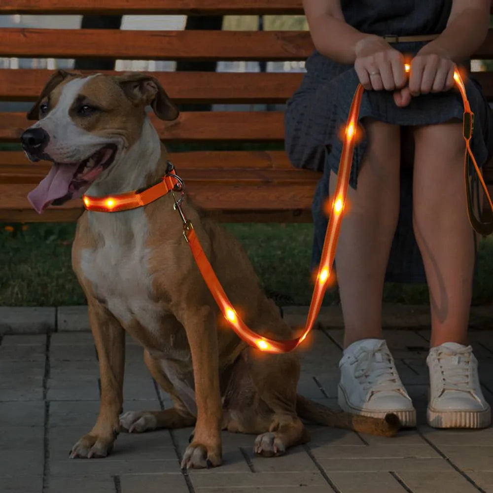 LED Nylon Pet Dog Leash