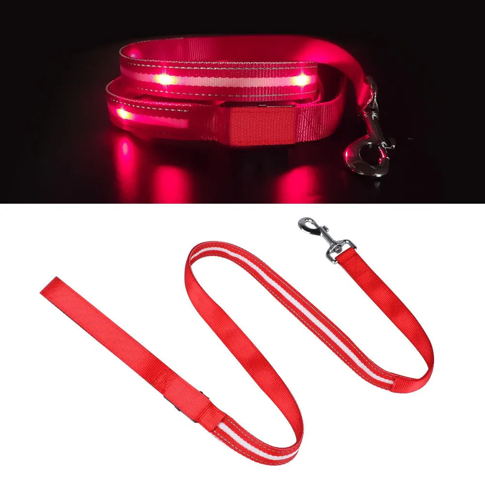 LED Nylon Pet Dog Leash