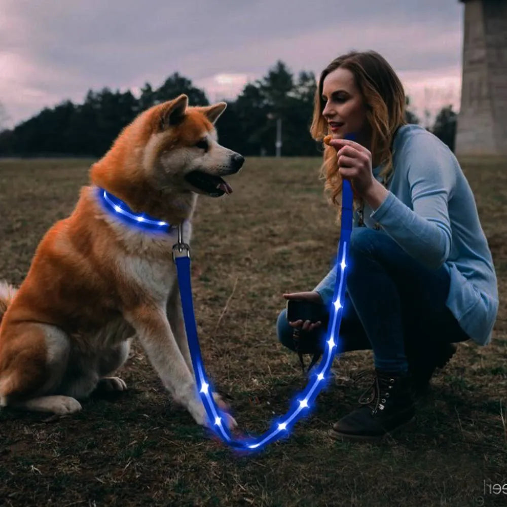 LED Nylon Pet Dog Leash