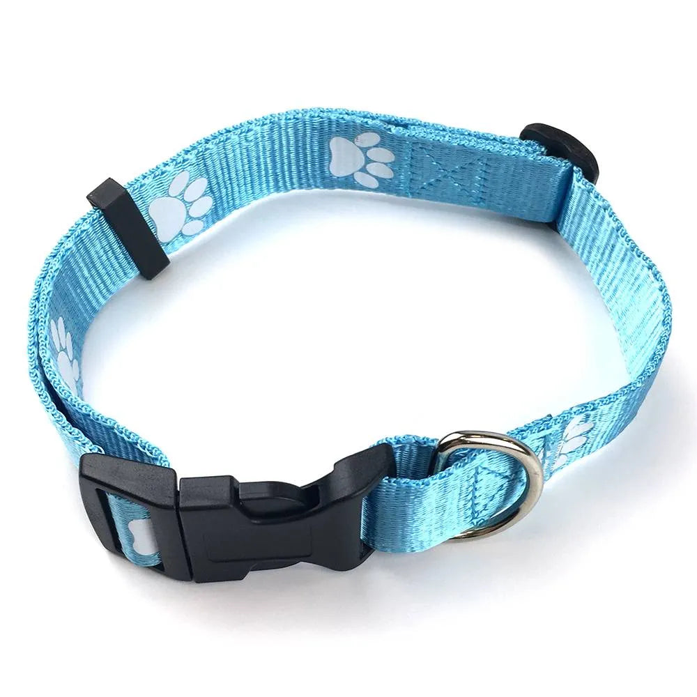 Custom Nylon Printed Dog Leash