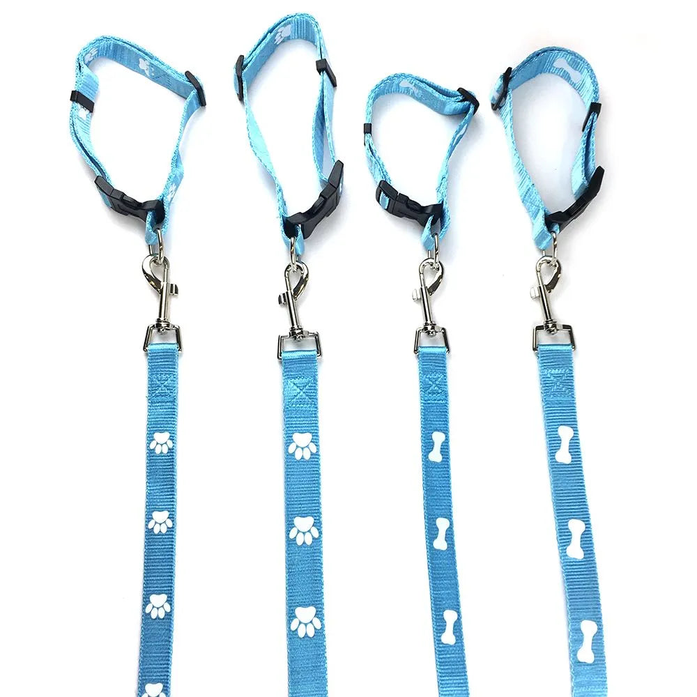 Custom Nylon Printed Dog Leash