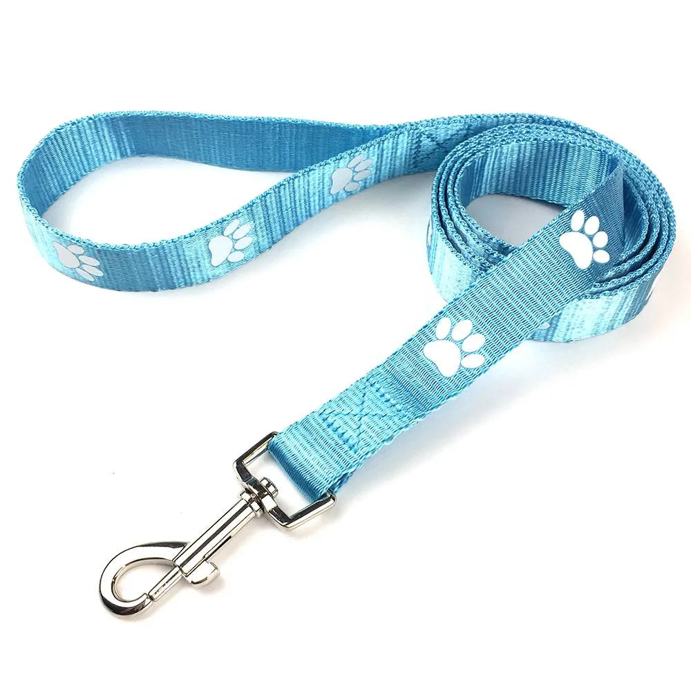 Custom Nylon Printed Dog Leash