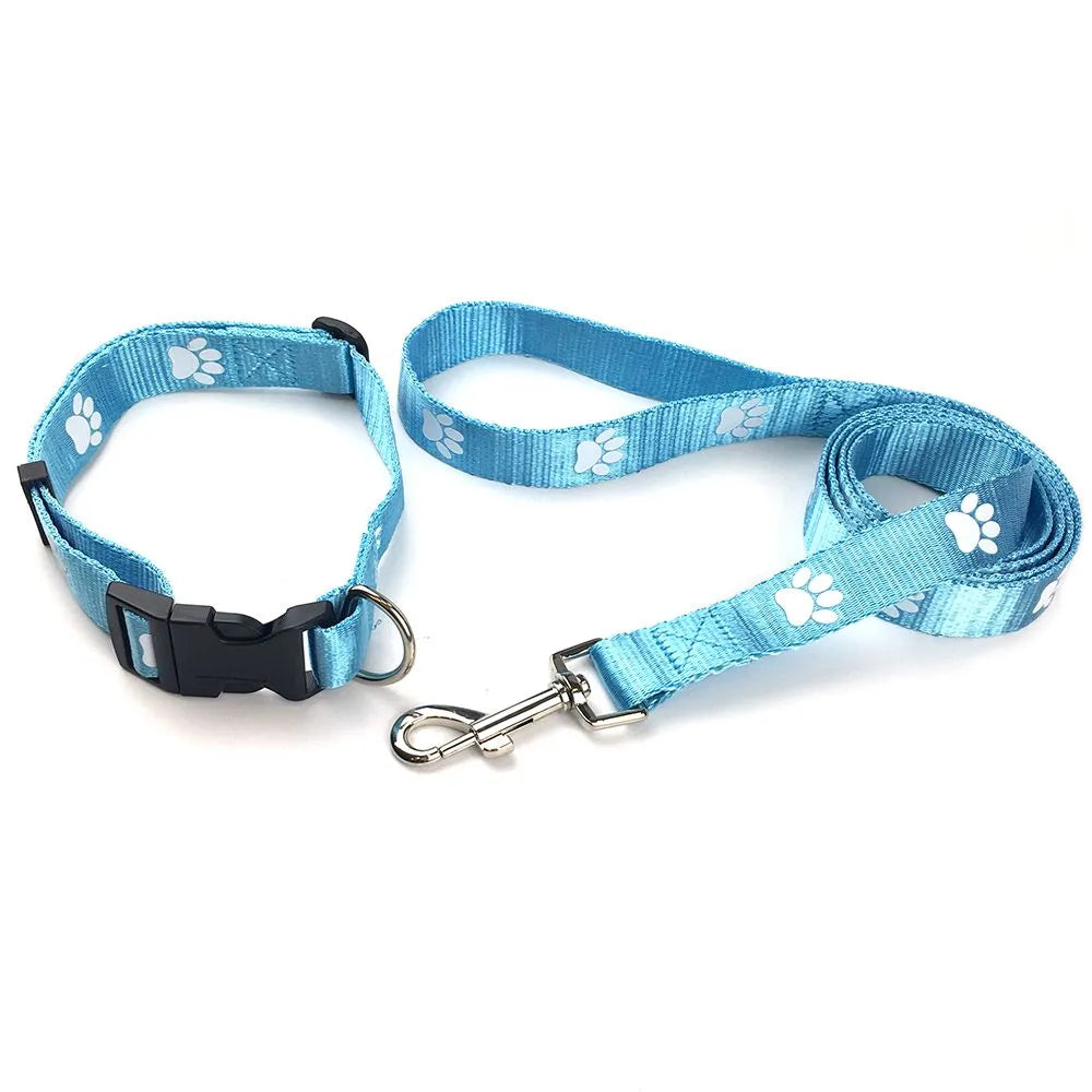 Custom Nylon Printed Dog Leash