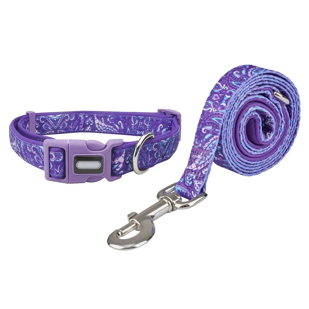 Custom Pet Dog Collars and Leash Set