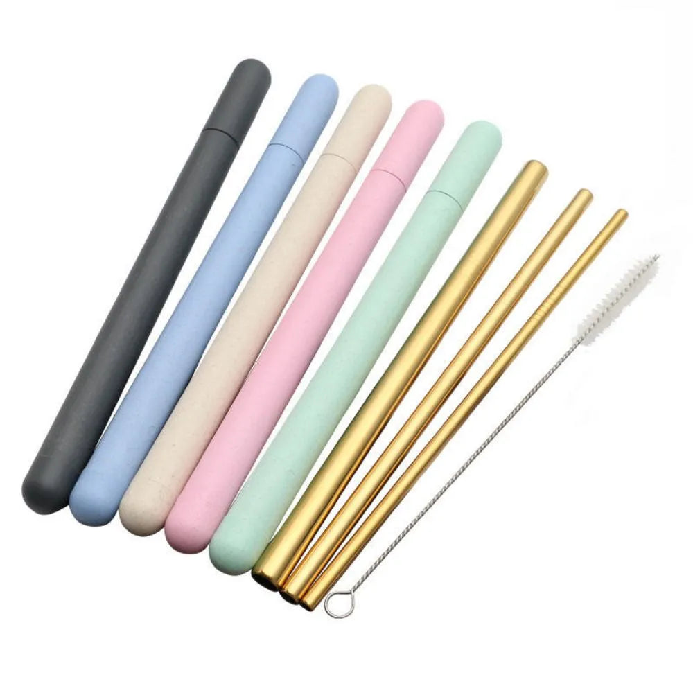 Stainless Steel Straws Set with Wheat Straw Case
