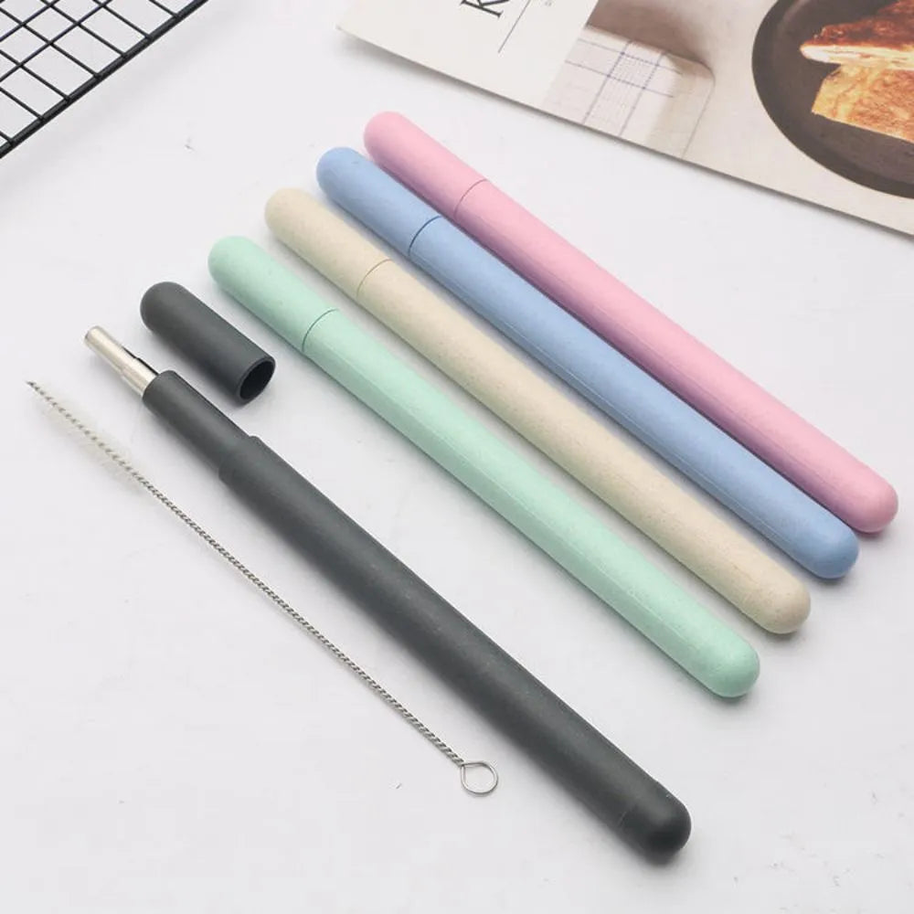 Stainless Steel Straws Set with Wheat Straw Case