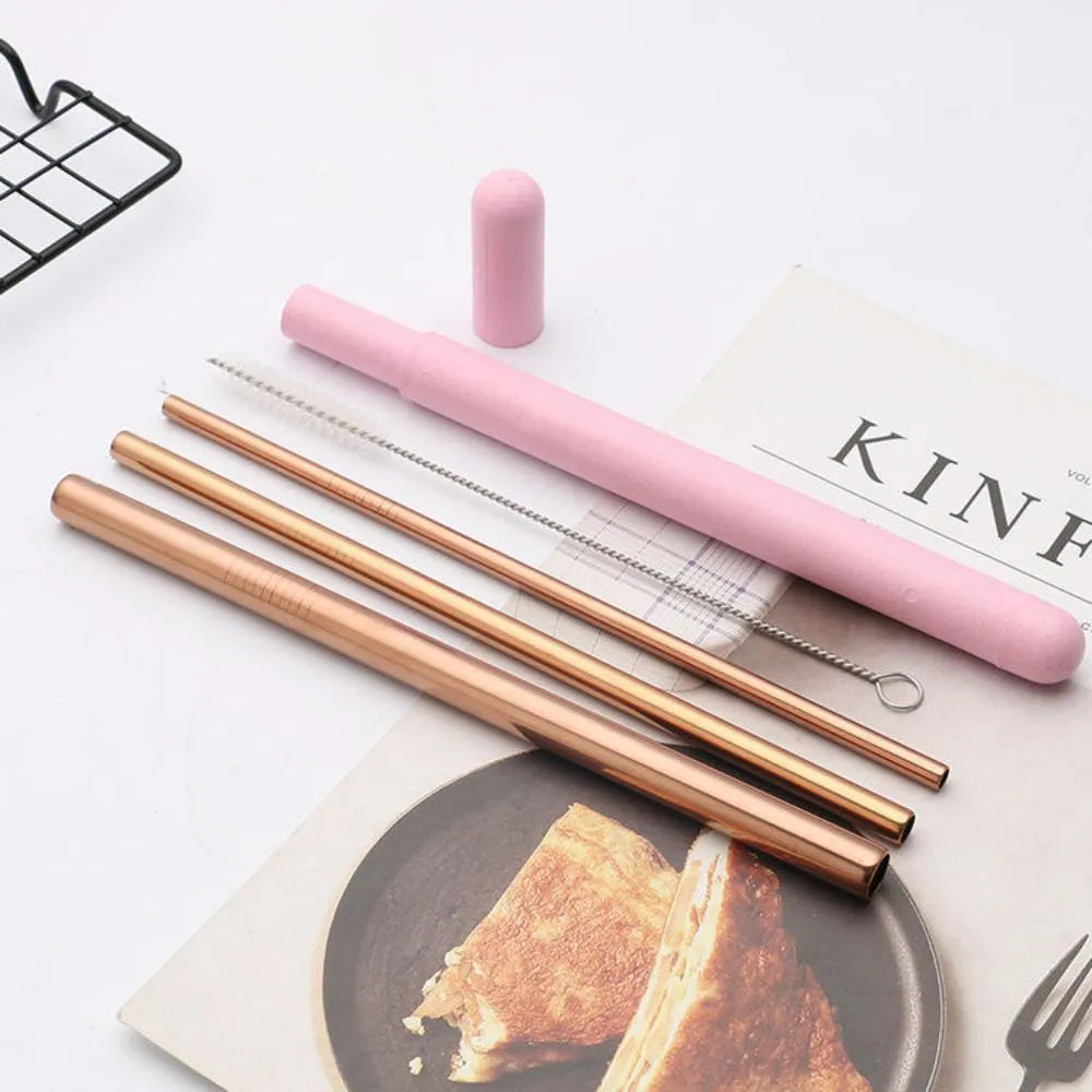 Stainless Steel Straws Set with Wheat Straw Case