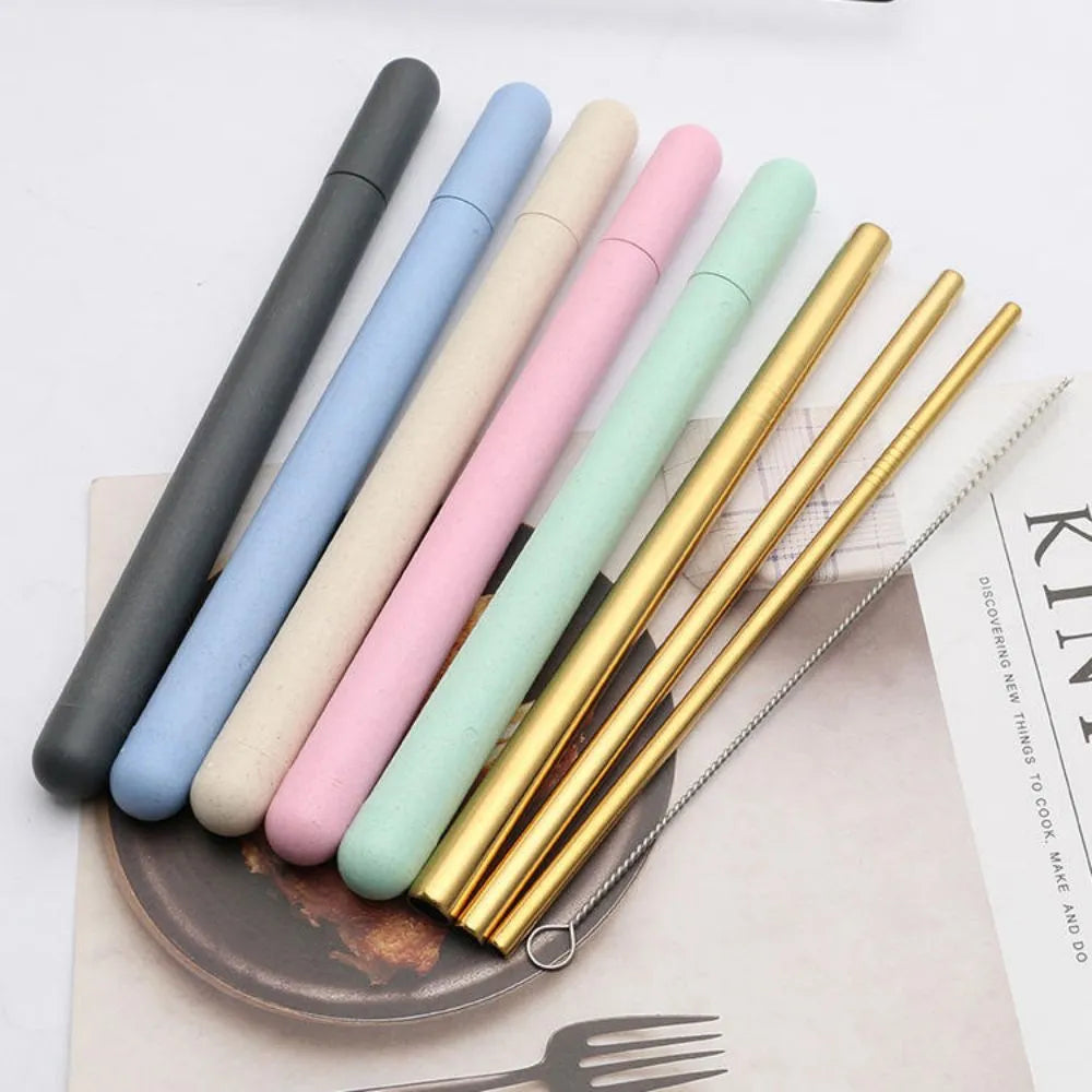 Stainless Steel Straws Set with Wheat Straw Case